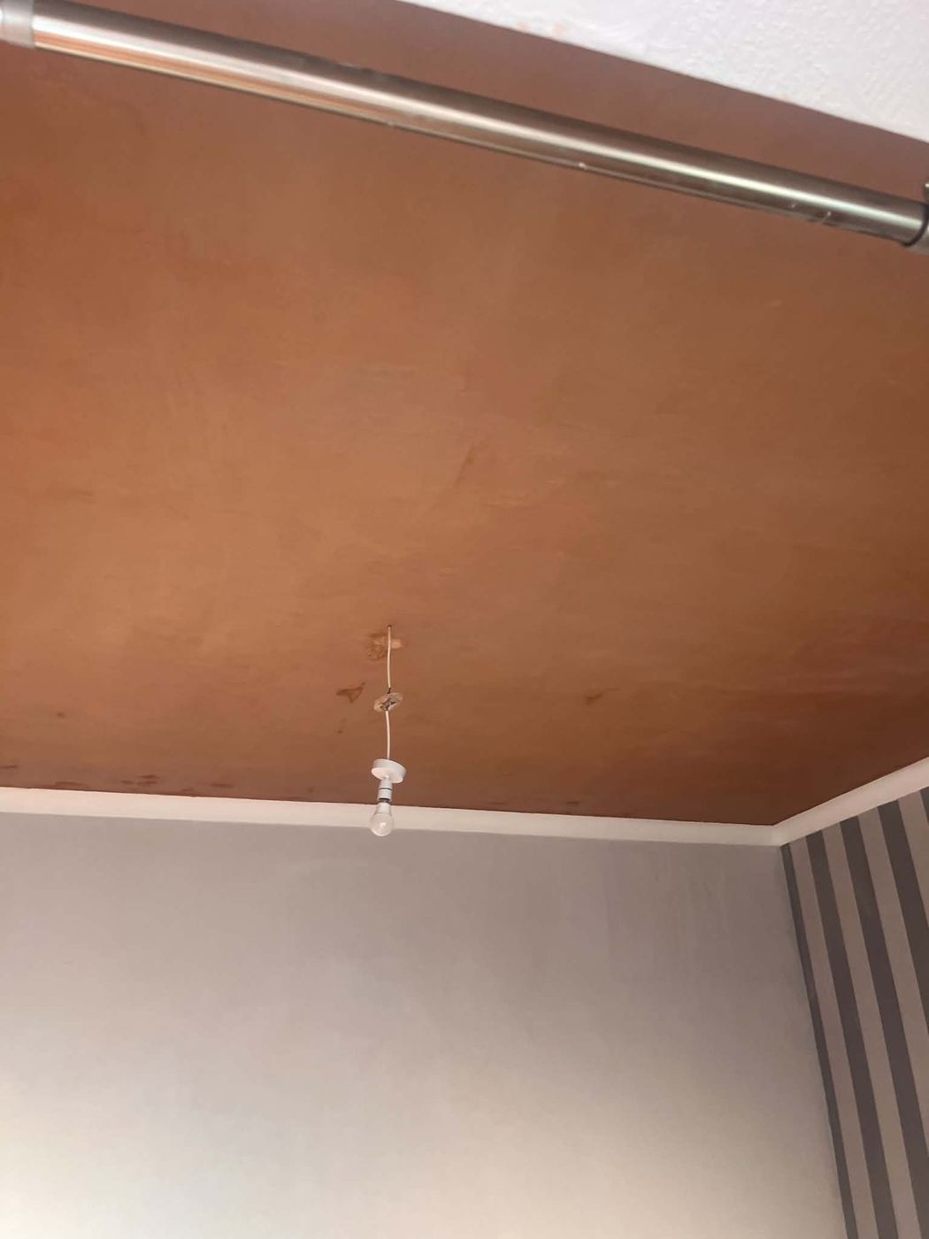 Ceiling after repair and skim, freshly mist-coated